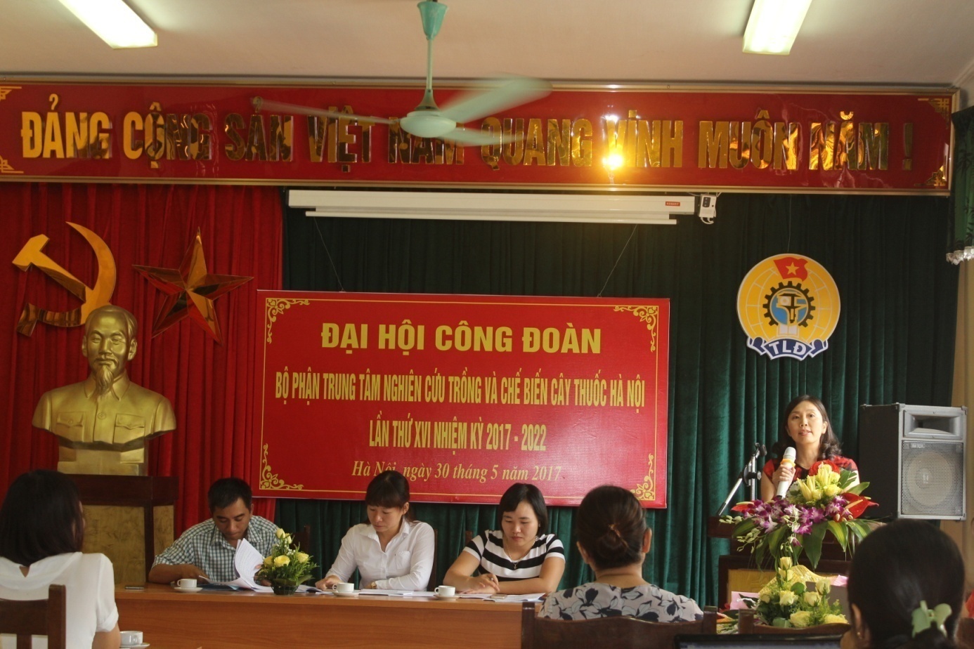 Không có ảnh